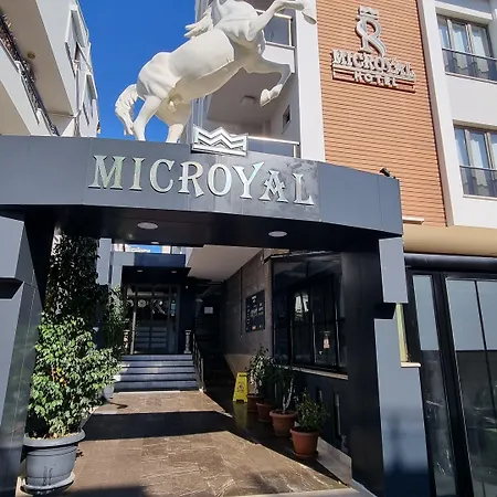 Microyal
