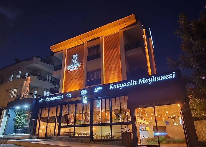 Hotel Microyal 3*
