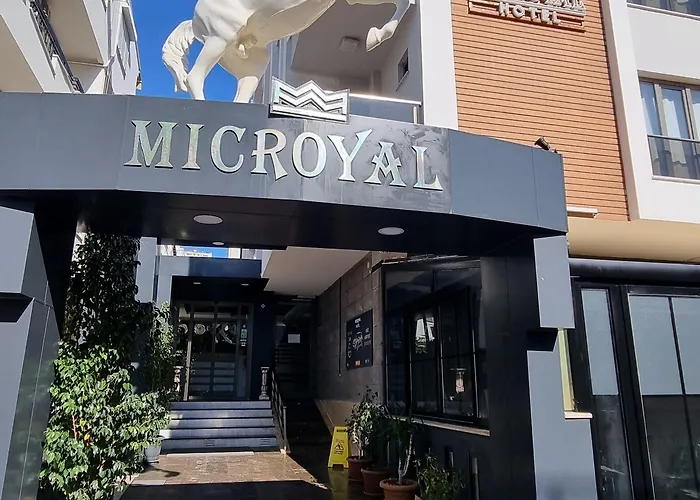 Microyal